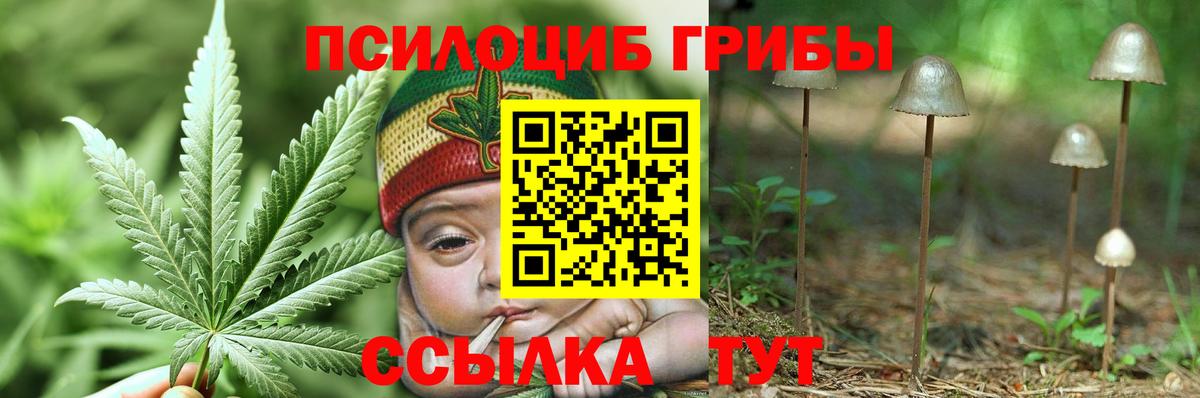 Оренбург  Псилоцибиновые грибы Cubensis  Галлюциногенные грибы мухоморы  Вход с VPN 