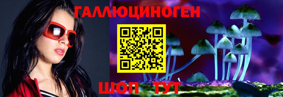Псилоцибиновые грибы GOLDEN TEACHER Оренбург